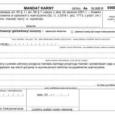 Symbol płatności za mandat karny: jak znaleźć i zrozumieć kody