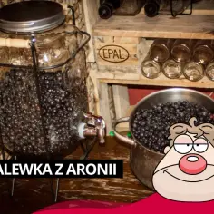 Gdzie kupić nalewkę z aronii - najlepsze miejsca i oferty