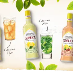 Najlepsze przepisy na drink z soplica cytryna malina, które musisz spróbować