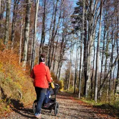 Gdzie w góry z dzieckiem w wózku? Sprawdź najlepsze trasy i porady dla rodzin