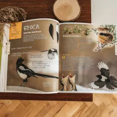 Najlepsze książki o ptakach, które warto przeczytać dla wiedzy i inspiracji