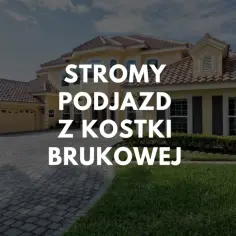 Jak wyłożyć stromy podjazd? Najlepsze materiały i rozwiązania dla bezpieczeństwa