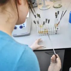 Biologia sądowa – czy warto studiować? Perspektywy, zarobki i wady kierunku