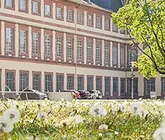Studium Generale Uni Mannheim: Odkryj różnorodne kursy i szkolenia