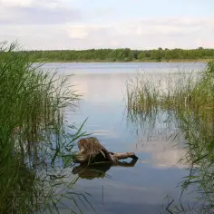 Jezioro Jezuickie: najlepsze kąpieliska i miejsca na rodzinny wypoczynek