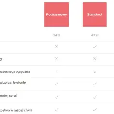 Netflix standard ile urządzeń: ile możesz strumieniować i pobierać?