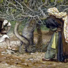 Przypowieść o drzewie figowym: znaczenie, symbolika i współczesne refleksje