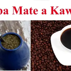 Yerba mate czy kawa – co wybrać dla lepszej koncentracji?