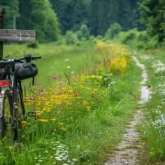 Podlasie Rowerem: 5 Tras Które Zmienią Twoje Życie i Sposób Podróżowania