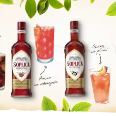 Pyszne drinki z soplicą truskawkową – proste przepisy i porady