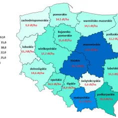 Ile kosztuje dzierżawa działki budowlanej? Ceny w Polsce i czynniki wpływające