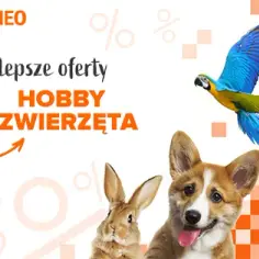 Jak udekorować stół na rocznicę ślubu - 10 wyjątkowych pomysłów