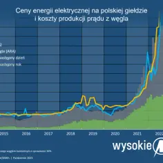 Ceny liczników prądu: Koszt zakupu i montażu - Poradnik 2025