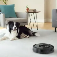Roomba i5 czy i7 – który odkurzacz robotyczny jest lepszy dla Ciebie?