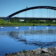 Jezioro Farskie - wszystko co musisz wiedzieć przed wędkowaniem w 2025