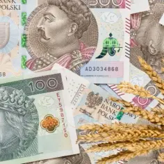 Ile kosztuje tona zboża w skupie? Ceny, które mogą Cię zaskoczyć