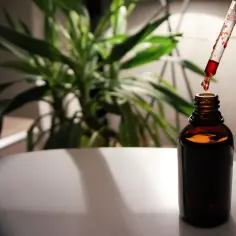 Odkryj naturalne żelazo w płynie – Bioradix Xenico