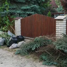 Gdzie wyrzucić gałęzie z działki? Sprawdź najlepsze opcje utylizacji