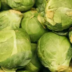 Jak dietetycznie przyrządzić brukselkę: 7 zdrowych sposobów