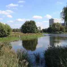 Jezioro Gocławskie - zielona enklawa dzikiej przyrody w centrum Warszawy