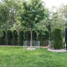 Skuteczne sposoby na zabezpieczenie ogrodu przed psem i jego szkodami