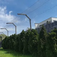 Jak zabezpieczyć ogród dla kota: skuteczne metody ochrony i bezpieczeństwa