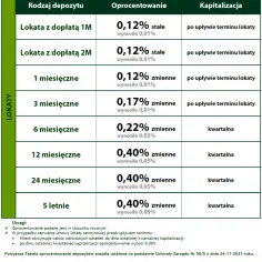 Czy debet jest oprocentowany? Poznaj koszty i uniknij pułapek