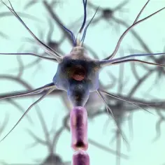Neurolog od czego to lekarz i kiedy warto się do niego zgłosić