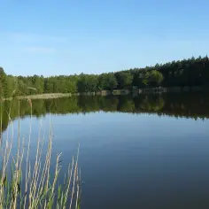 Jezioro Tuczno Wielkopolskie – raj dla wędkarzy i miłośników kajaków