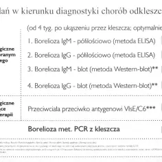 Cennik badań na boreliozę: ELISA 25 zł, Western-blot 75 zł, PCR z kleszcza 140 zł.