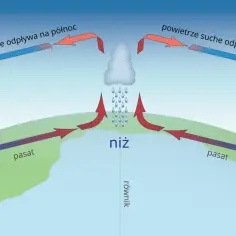 Schemat wyjaśnia, co to cyrkulacja monsunowa: wznoszące się powietrze nad równikiem tworzy niż, a opadające nad zwrotnikami – wyż.