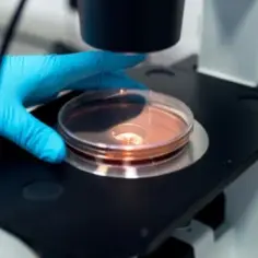 Co to jest laboratorium akredytowane i dlaczego ma to znaczenie?
