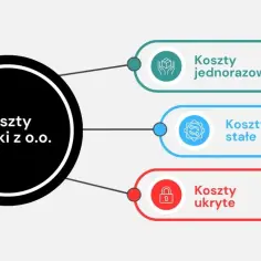 Diagram przedstawia koszty spółki z o.o.: jednorazowe, stałe i ukryte.