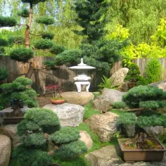 Ogród japoński Kudowa Zdrój atrakcje: kamienna latarnia, bonsai i starannie uformowane drzewa tworzą spokojną oazę.