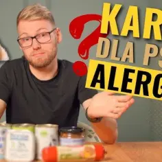 Co gotować dla psa alergika, aby uniknąć problemów zdrowotnych?