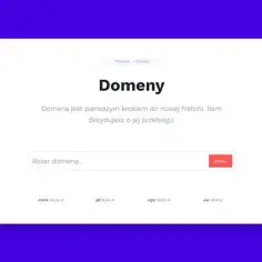 Domena com czy pl - co wybrać, aby nie żałować wyboru?