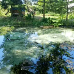 Dłubniański Park Krajobrazowy: Ucieczka z Krakowa. Co zobaczyć?