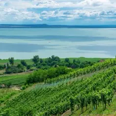 Siófok atrakcje: najlepsze miejsca, które musisz zobaczyć latem