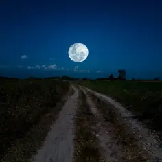 Pełnia księżyca w październiku rozświetla polną drogę.