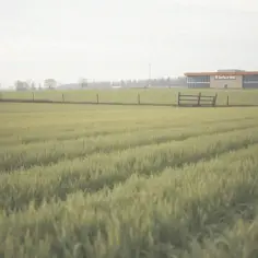 Ile płaci biedronka za wynajem gruntu? Ceny, które zaskakują właścicieli