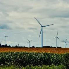 Gdzie są elektrownie wiatrowe w Polsce? Odkryj ich lokalizacje i potencjał