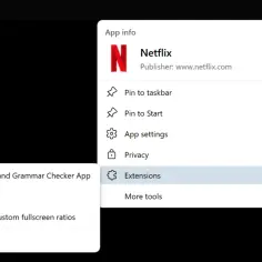 Menu aplikacji Netflix na Windows. Widoczne opcje: Ustawienia aplikacji, Prywatność, Rozszerzenia.
