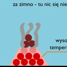Czy spalanie węgla to zjawisko fizyczne czy reakcja chemiczna? Wyjaśniamy!