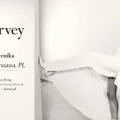 Gdzie i kiedy odbędzie się koncert PJ Harvey? Terminy i lokalizacje