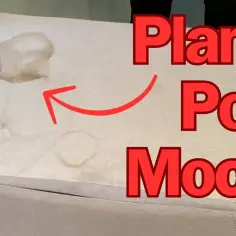 Skuteczne sposoby na usunięcie starych plam z moczu na kanapie