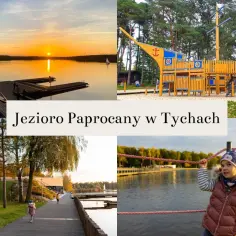 Paprocany Tychy: Atrakcje, Ceny, Dojazd. Planuj Idealny Dzień!