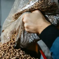 Ile kosztuje pellet w Niemczech? Ceny, porównania i zakupy w 2023