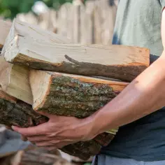 Osoba niesie drewno sosnowe. Czas schnięcia drewna zależy od wielu czynników, ale warto wiedzieć, jak długo schnie drewno sosnowe.