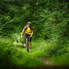 Jakie trasy rowerowe kryje Mogiła? 5 propozycji każdego cyklisty!