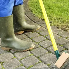 Skuteczne sposoby na to, czym wyczyścić kostkę brukową z mchu